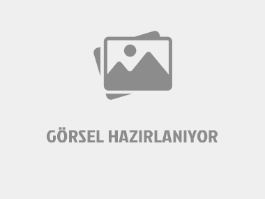 Atlı Karınca Mini Çam Ağacı Kutuda