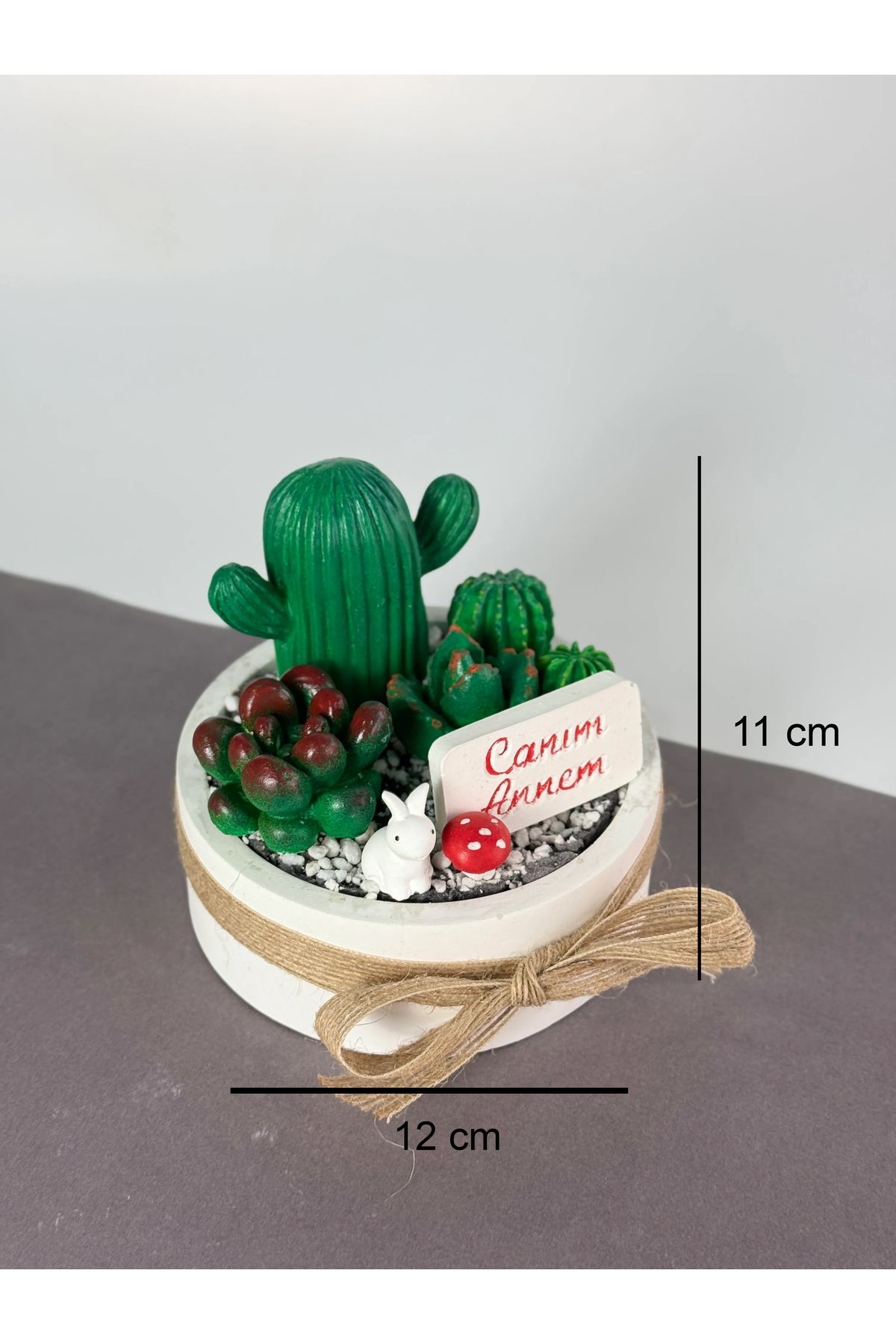 Canım Annem Beton Kaktüs Sukulent Teraryum Mini Garden-823-Large