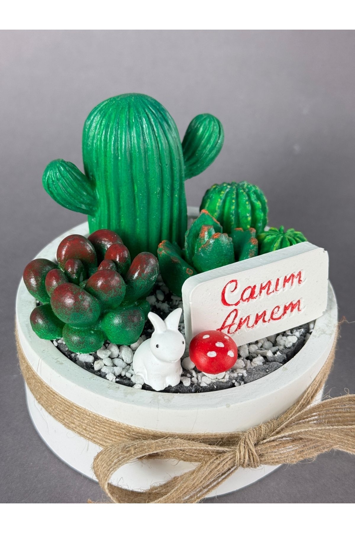 Canım Annem Beton Kaktüs Sukulent Teraryum Mini Garden-821-Large