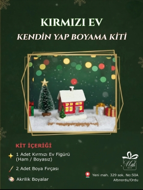 Kırmızı Ev Boyama Kiti-860-Small