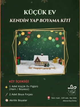 Küçük Ev Boyama Kiti-857-Small