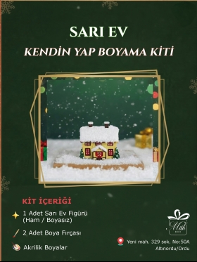 Sarı Ev Boyama Kiti-851-Small